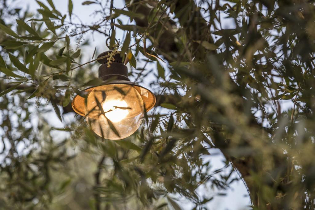 Vassilis Guest House Anthousa  Buitenkant foto